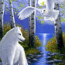 Схема вышивки «волк и сова»