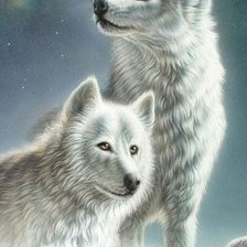 Схема вышивки «№573400»