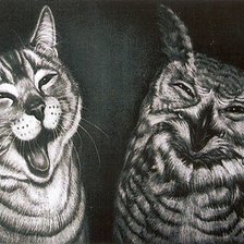 Схема вышивки «кот и сова»