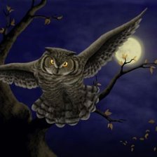 Схема вышивки «сова»