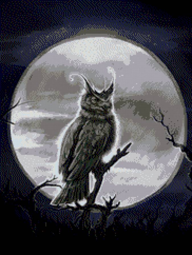 сова - ночь, сова, луна - предпросмотр