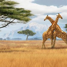 Схема вышивки «пара жираф»