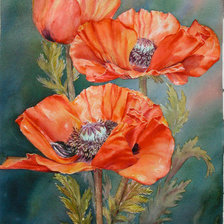 Схема вышивки «маки»