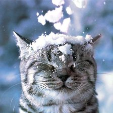 Схема вышивки «котик»