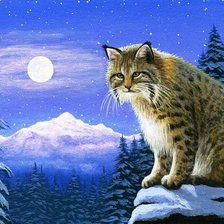 Схема вышивки «№573795»