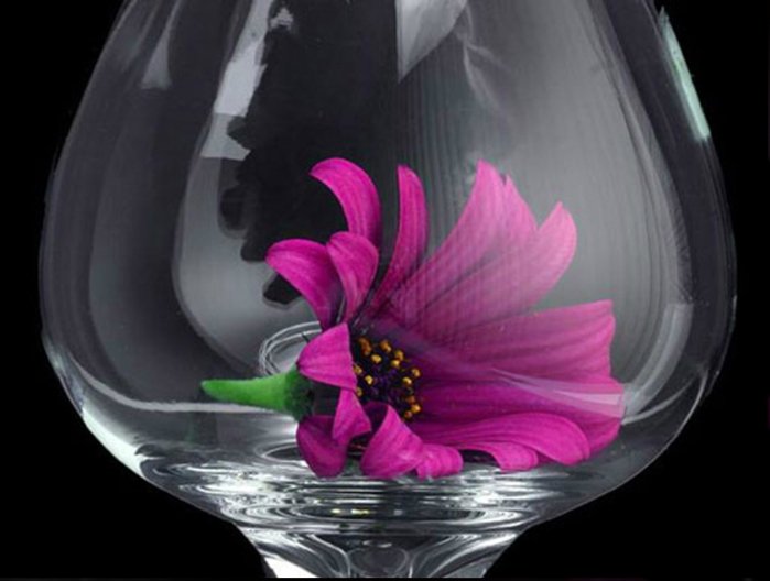 цветок в фужере - для кухни - оригинал