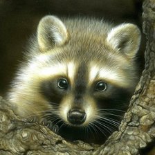 Схема вышивки «№573800»