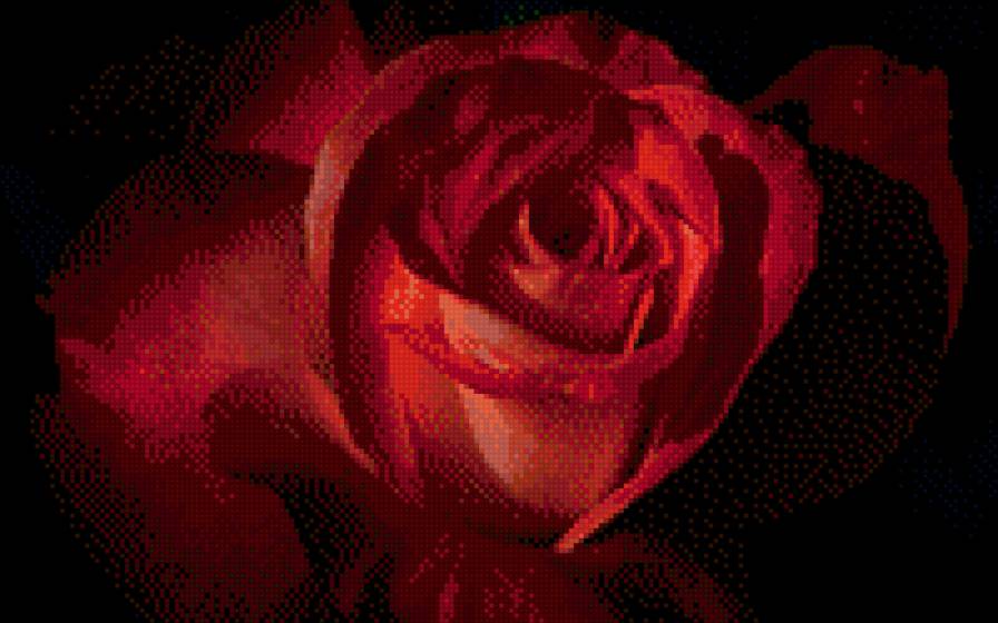 розочка - цветы - предпросмотр