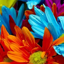 Схема вышивки «цвет»