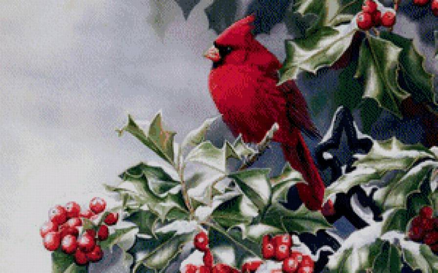 Красный кардинал - рождество, зима, снег, красный кардинал - предпросмотр