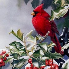 Схема вышивки «Красный кардинал»