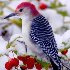 Схема вышивки «Зима»