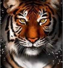 Схема вышивки «тигруля»