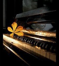 Схема вышивки «Вдохновение»