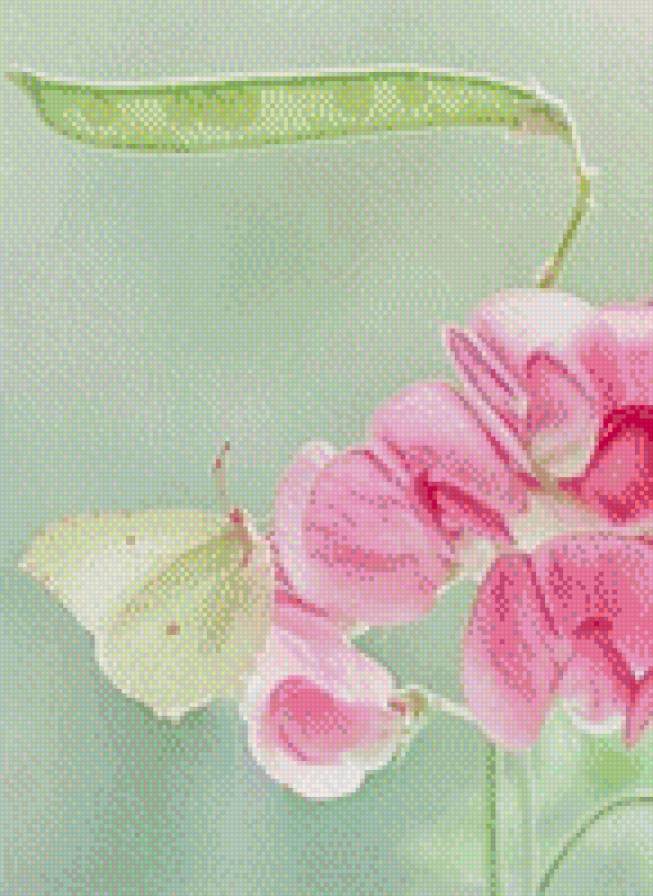 нежность - предпросмотр