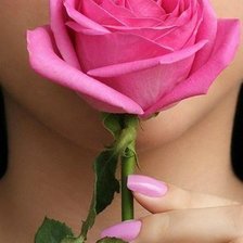 Схема вышивки «роза»