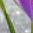 Предпросмотр схемы вышивки «Весна. Крокус» (№574171)