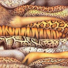 Схема вышивки «спинки животных»