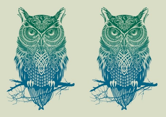 2 СОВЫ - сине-зеленая обложка - оригинал