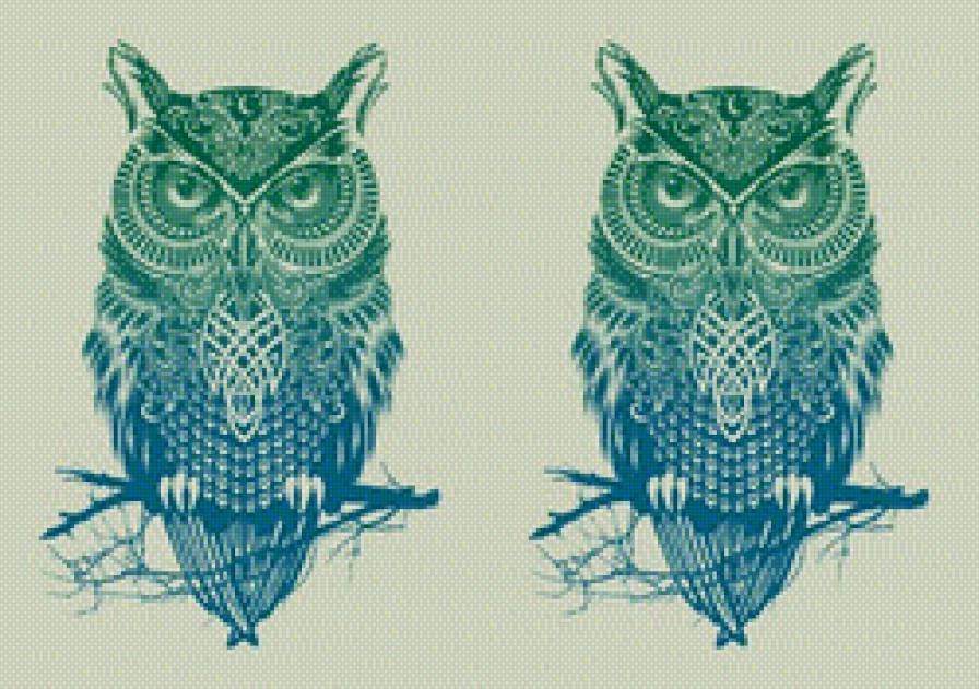 2 СОВЫ - сине-зеленая обложка - предпросмотр