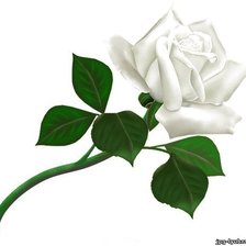 Схема вышивки «№574245»