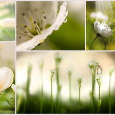 Схема вышивки «№574293»