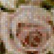 Предпросмотр схемы вышивки «свадебный» (№574371)