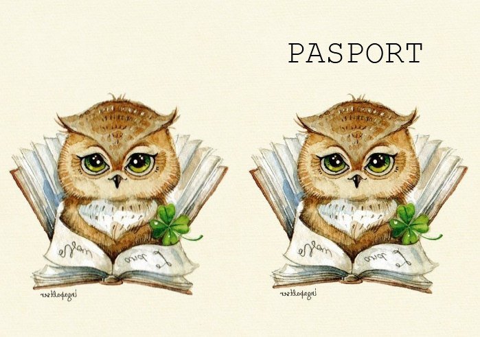 2 СОВЫ 2 - оригинал