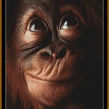 Схема вышивки «шемпанзе»