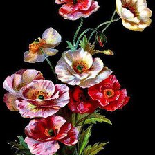 Схема вышивки «Маки»