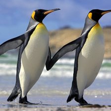 Схема вышивки «Вдвоем»