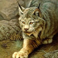 Схема вышивки «Рысь»