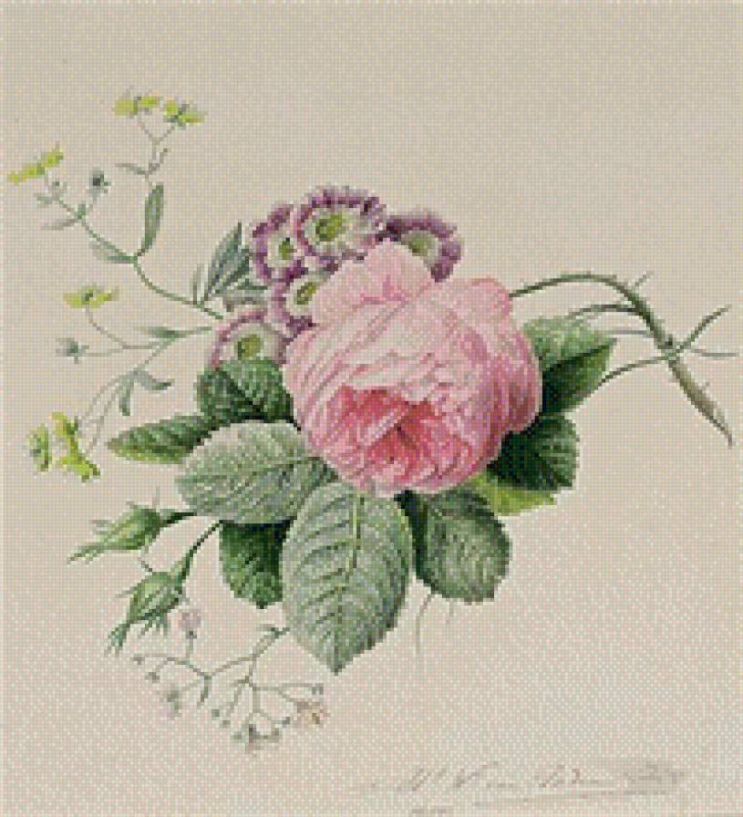 №574826 - предпросмотр