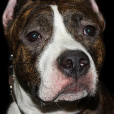 Схема вышивки «Челси»