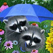 Схема вышивки «Енотики»