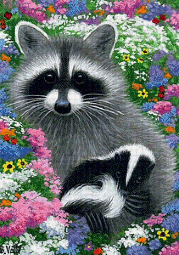 Енотики - цветы, мама, животные, еноты, детеныш - предпросмотр