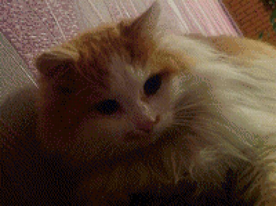 Илья - предпросмотр