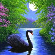 Схема вышивки «Чёрный лебедь»