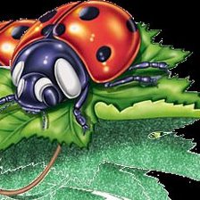 Схема вышивки «божья коровка»