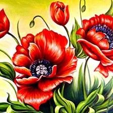 Схема вышивки «Маки»