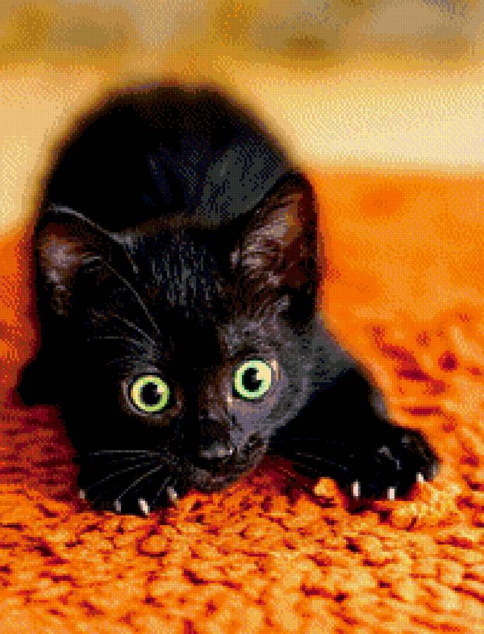 №575202 - предпросмотр