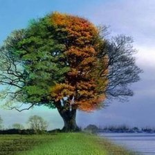 Схема вышивки «Времена года»