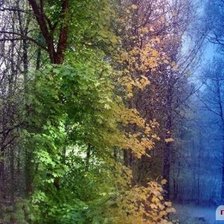 Схема вышивки «Смена сезонов»