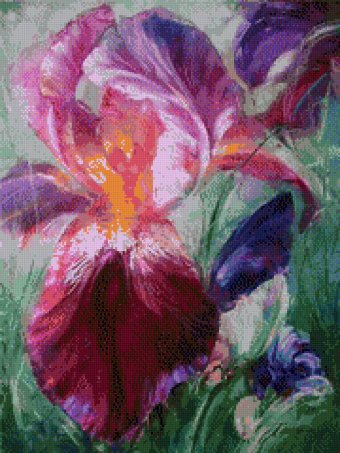 Homczik Anna-Irys - irysy, kwiaty - предпросмотр