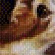 Предпросмотр схемы вышивки «Пара» (№575314)