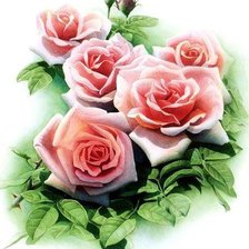 Схема вышивки «№575363»