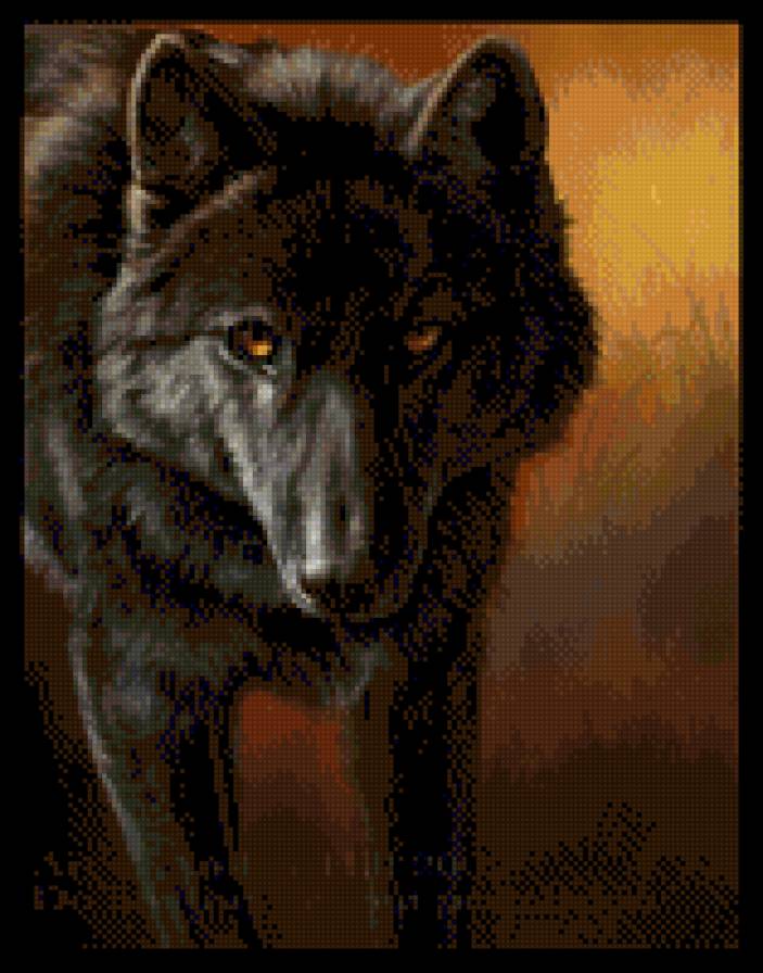 Волк - золотые глаза, волк - предпросмотр