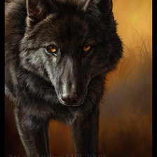 Схема вышивки «Волк»