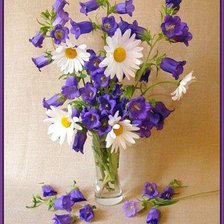 Схема вышивки «№575403»