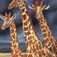 Схема вышивки «L.REGAN. Жирафы»